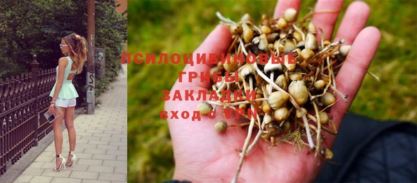 ALPHA PVP Арсеньев