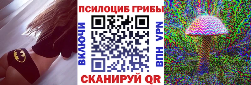 Псилоцибиновые грибы Psilocybe  где найти наркотики  Буйнакск 